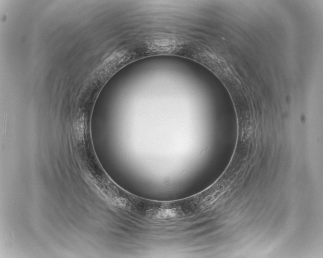 X0000060800647200511101420