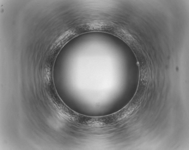 X0000060800648200511101420