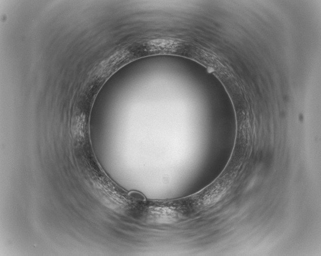 X0000060800649200511101420