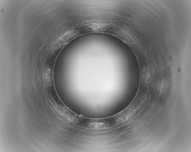 X0000060800650200511101420