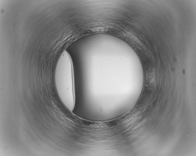 X0000060800652200511101420