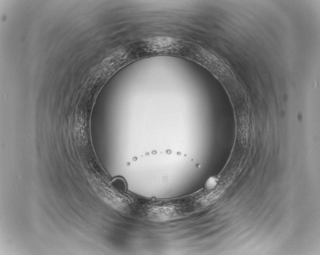 X0000060800653200511101420