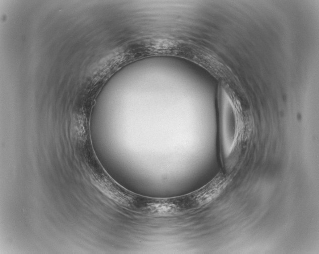 X0000060800654200511101420