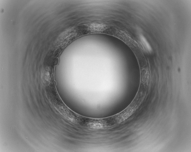 X0000060800655200511101420