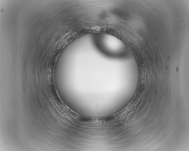 X0000060800656200511101420