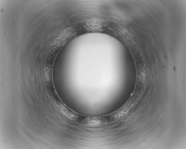 X0000060800658200511101420