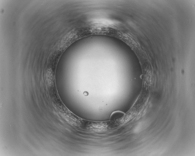 X0000060800659200511101420