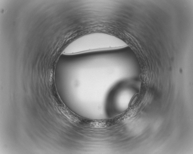 X0000060800660200511101420