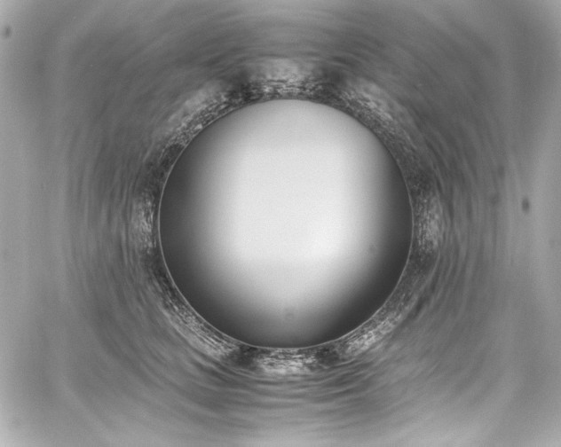 X0000060800661200511101420