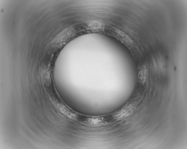 X0000060800662200511101420