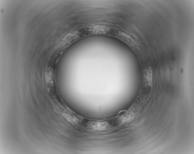 X0000060800663200511101420