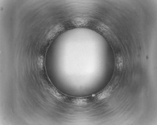 X0000060800664200511101420