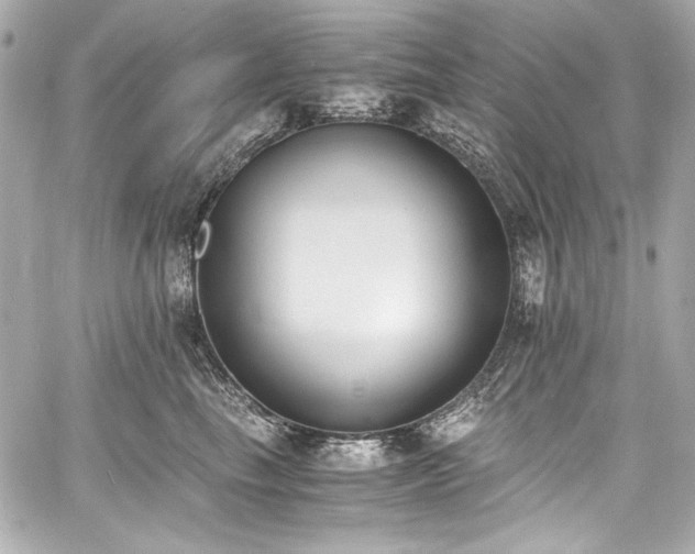 X0000060800665200511101420