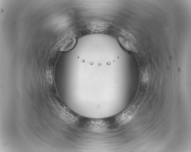 X0000060800666200511101420