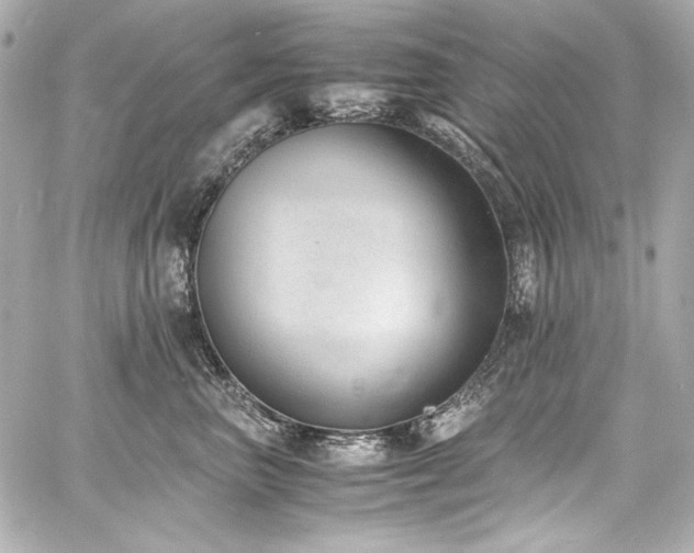 X0000060800667200511101420