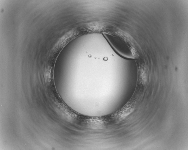 X0000060800668200511101420