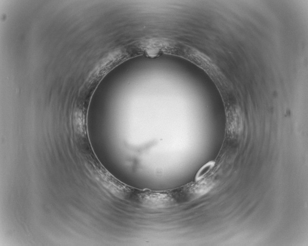 X0000060800669200511101420