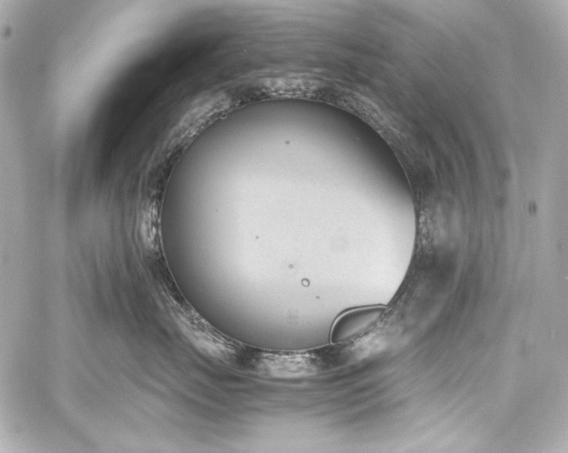 X0000060800671200511101420