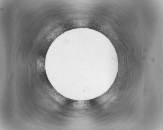 X0000060800672200511101420