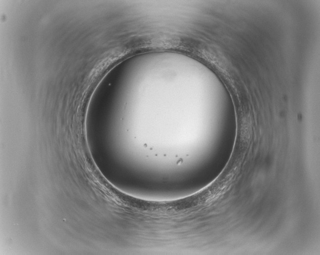 X0000060800673200511101420