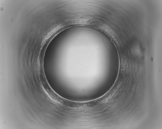 X0000060800674200511101420