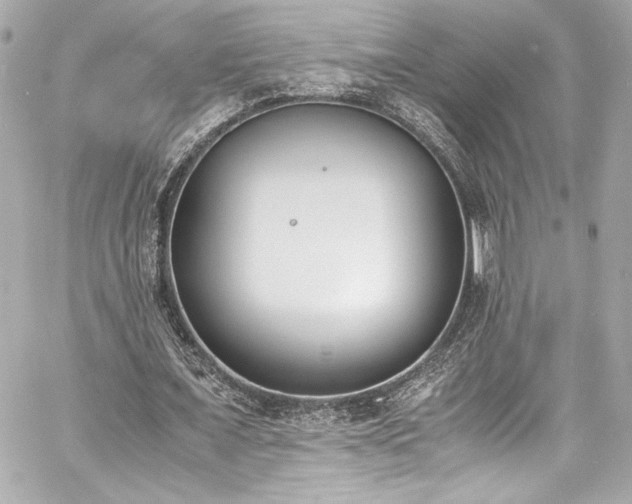 X0000060800675200511101420