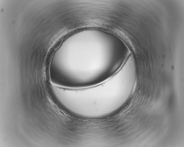 X0000060800676200511101420