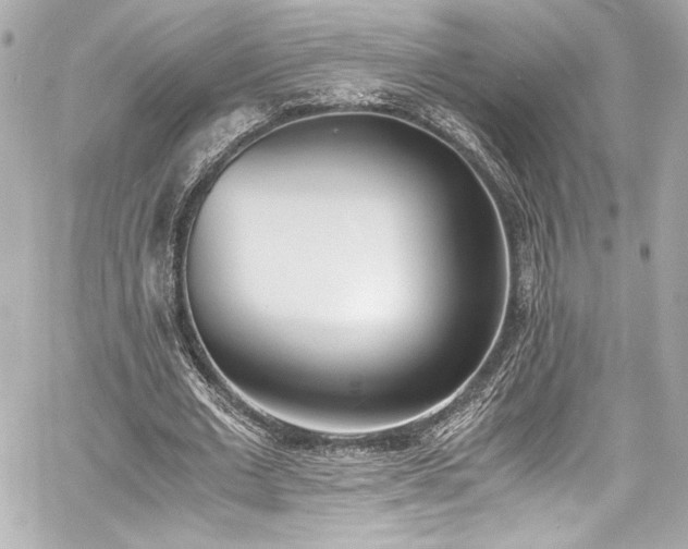 X0000060800677200511101420