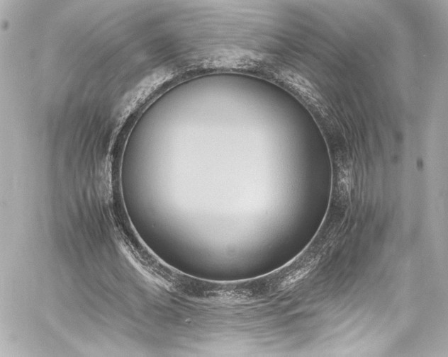 X0000060800678200511101420