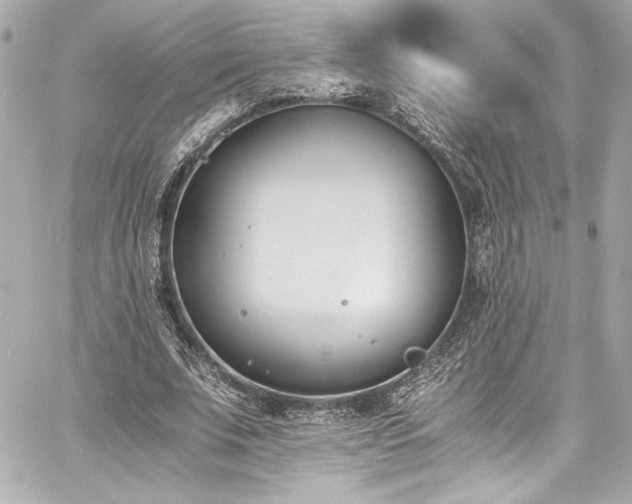 X0000060800679200511101420