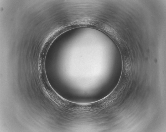 X0000060800680200511101420