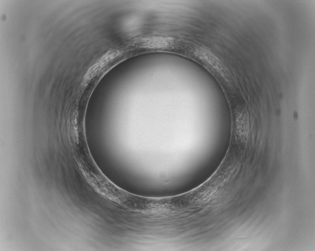 X0000060800682200511101419