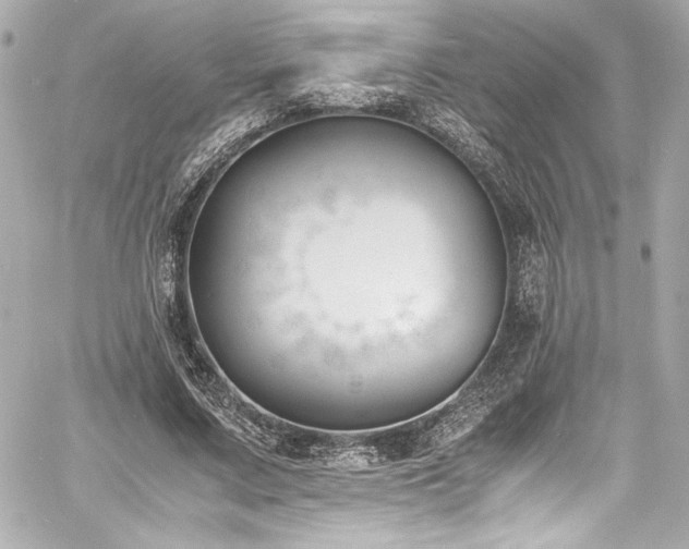 X0000060800683200511101419