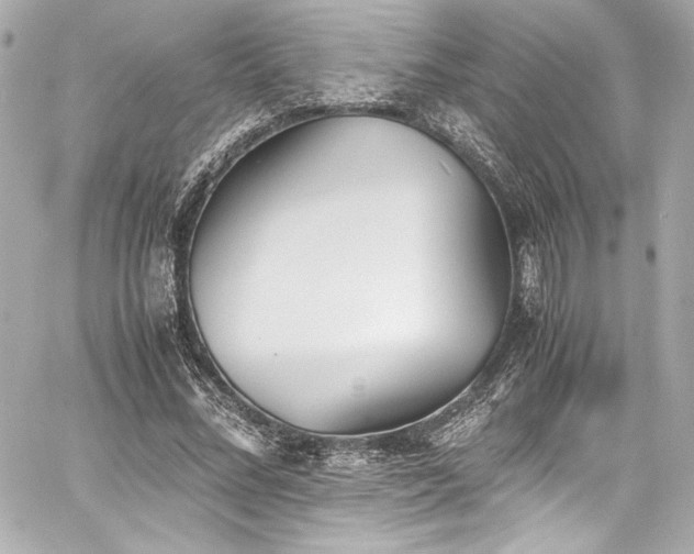 X0000060800684200511101419