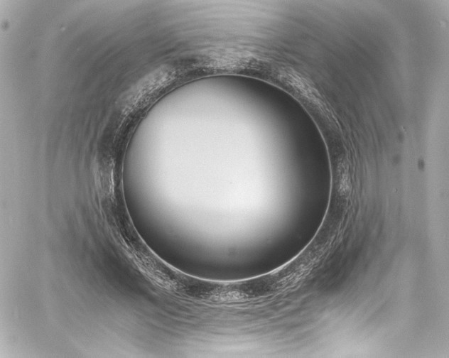 X0000060800685200511101419