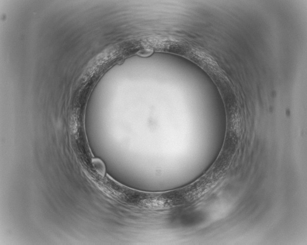 X0000060800687200511101419