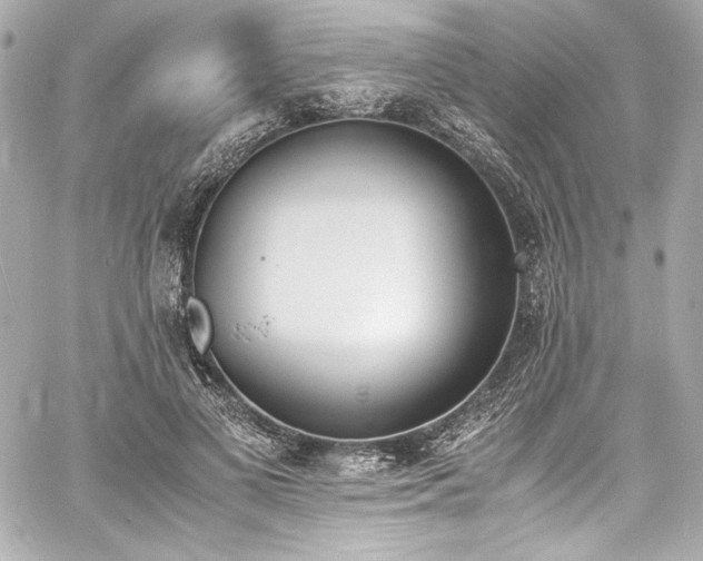 X0000060800693200511101419