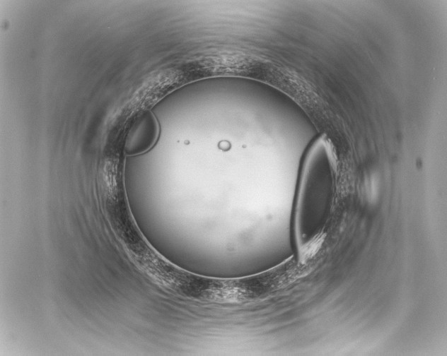 X0000060800695200511101419