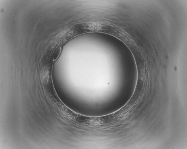 X0000060800697200511101419