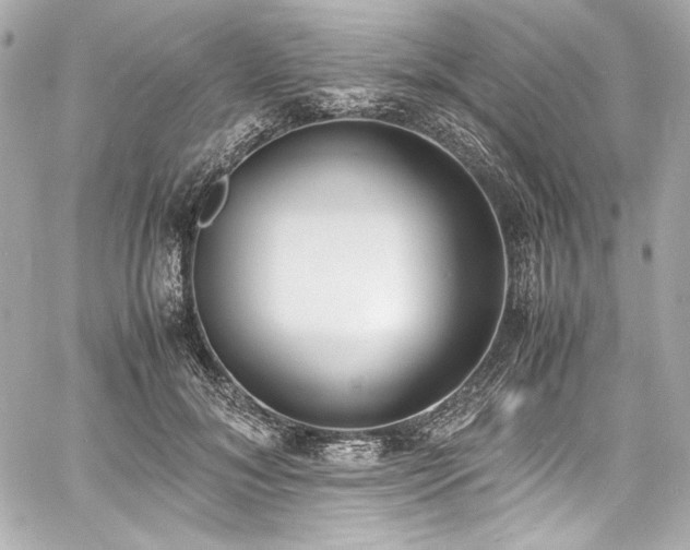 X0000060800700200511101419