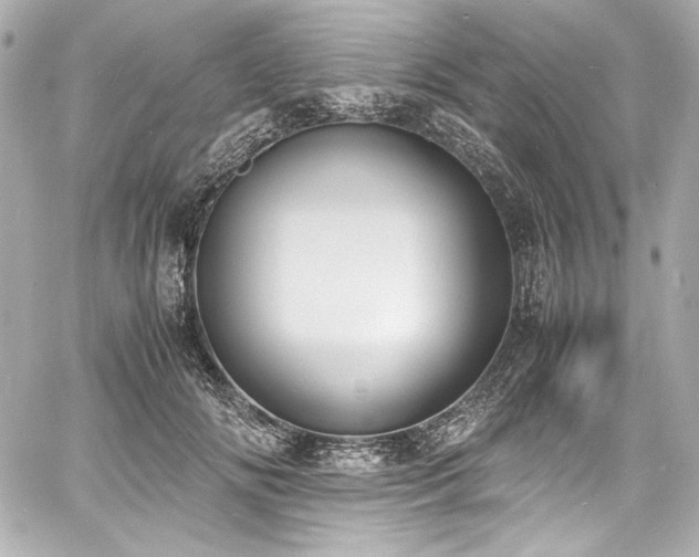 X0000060800702200511101419