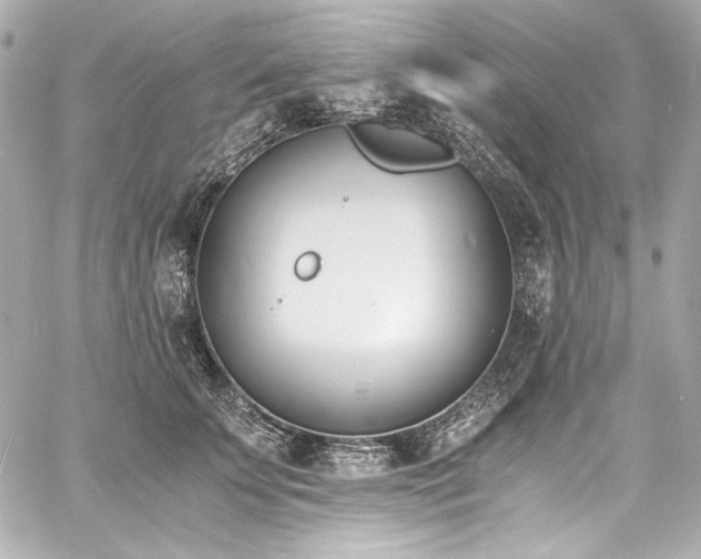 X0000060800707200511101419