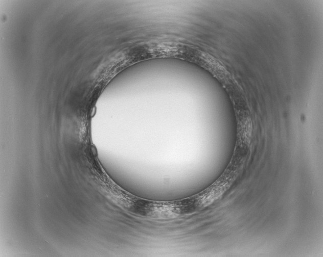 X0000060800709200511101419