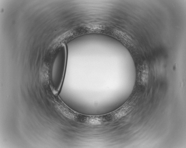 X0000060800710200511101419