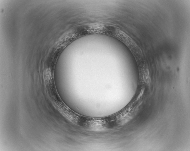 X0000060800711200511101419