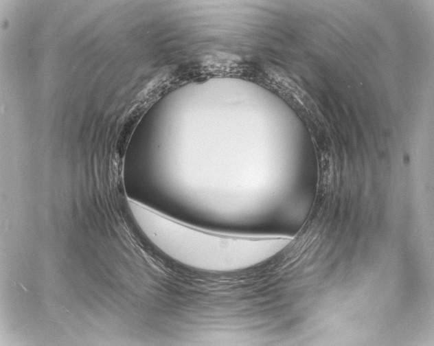 X0000060800712200511101419