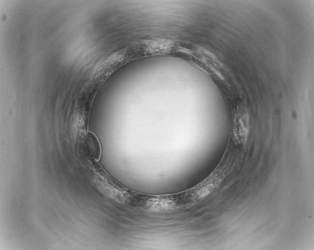 X0000060800714200511101419