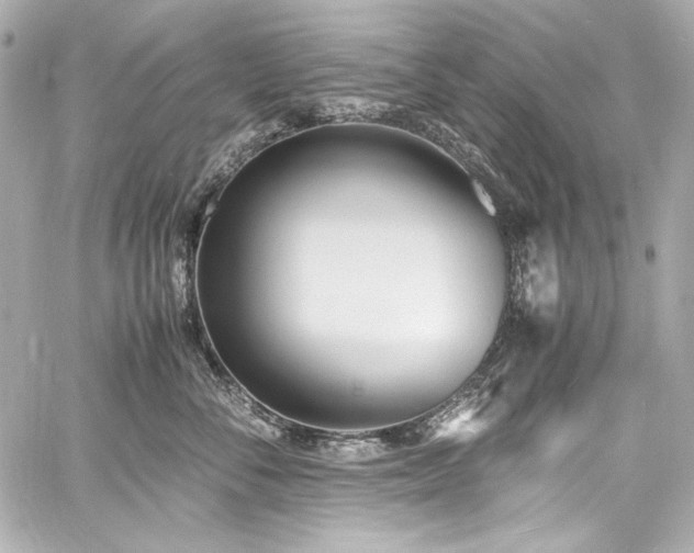 X0000060800716200511101419