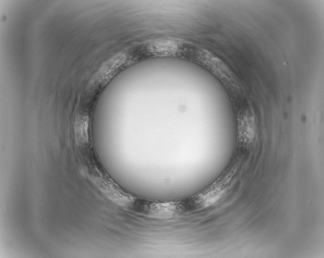 X0000060800717200511101419