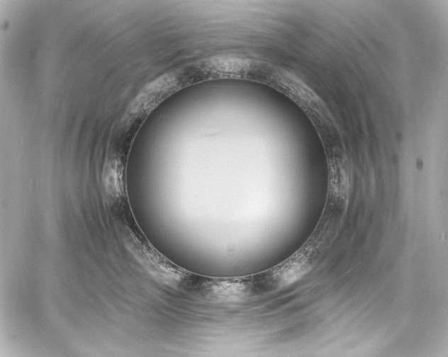 X0000060800718200511101419